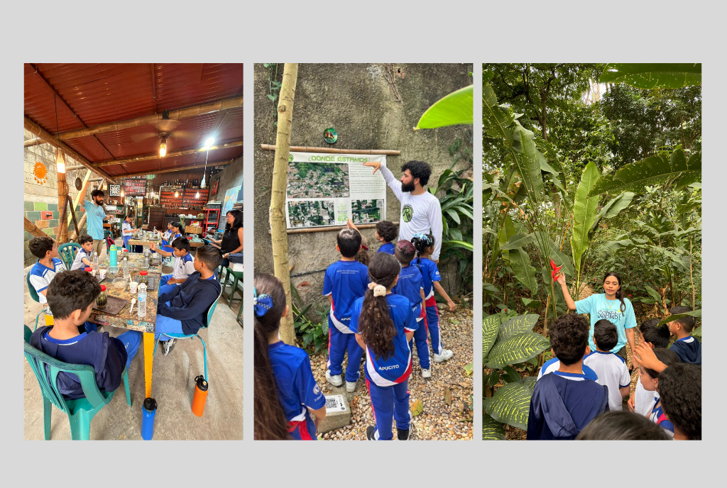 Ecoemprendedores Ecoemprendedores